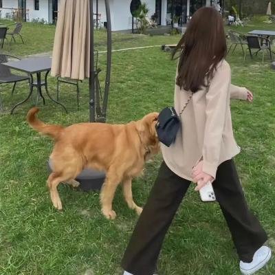 风云传奇